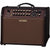 Boss ACSPRO Acoustic Guitar Amplifier