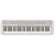 Casio CT-S1 Casiotone Digital Keyboard White 61-Key