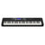 Casio CT-S500 Casiotone Digital Keyboard Black 61-Key