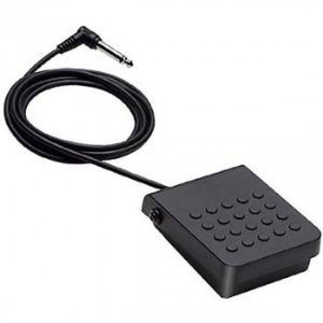 Casio SP3 Single Sustain Pedal