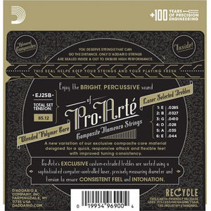 D'Addario EJ25B Guitar Strings