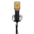 Eikon ECM14USB USB/XLR Condenser Microphone Recording Mic