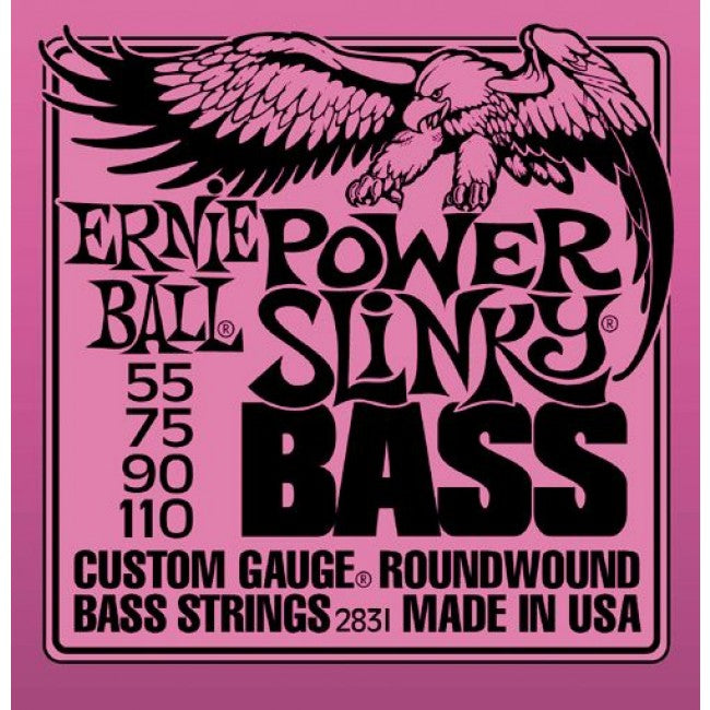 Ernie Ball 2831