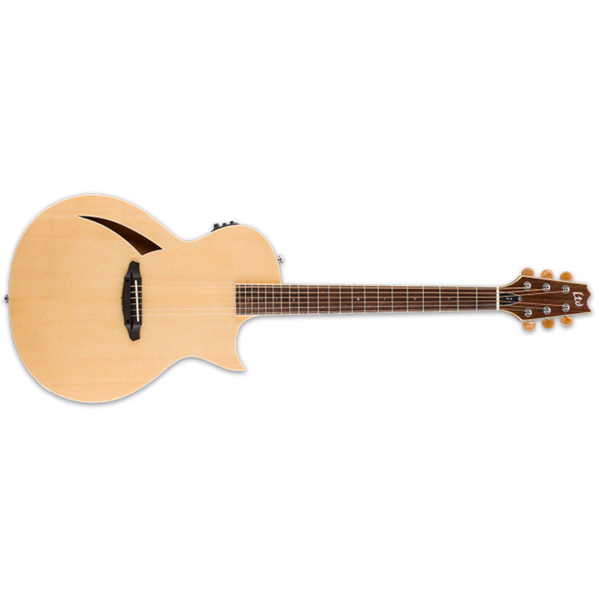 Esp acoustic electric guitar discount