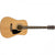 Fender FA-115 Dread V2 Nat Guitar