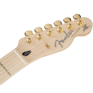 Fender Richie Kotzen Signature Telecaster Electric Guitar Maple Fingerboard Brown Sunburst  w/ Dimarzio - MIJ 5255200332