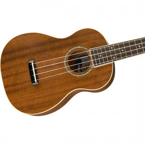 Fender Zuma Concert Walnut Nat Ukulele