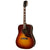 Gibson Hummingbird Studio Rosewood Rosewood Acoustic Guitar Burst w/ Pickup & Hardcase
