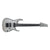 Ibanez Apex30 Apex Electric Guitar Korn Signature Model Matte Metallic Gray - APEX30MGM