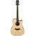 Ibanez AWFS300CE OPS Acoustic Guitar Open Pore Semi Gloss w/ Pickup & Cutaway & Gig Bag