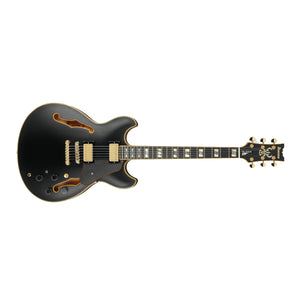 Ibanez JSM20 John Schofield Signature Electric Guitar Hollow Body Black Low Gloss w/ Case - JSM20BKL