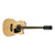 Ibanez PF1512ECE Acoustic Guitar Dreadnought 12-String Natural High Gloss w/ Pickup & Cutaway - PF1512ECENT