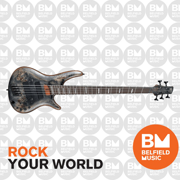 Bass　Twilight　Belfield　Music　Ibanez　5-String　Multi-Scale　SRMS805　Guitar　Deep