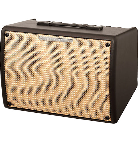 Ibanez T30II-S Troubadour 30W Acoustic Guitar Amplifier