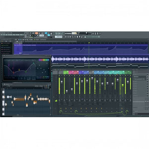 Image Line Fruity Loops Studio 20 Signature Edition