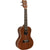 Kohala Akamai Series Concert Ukulele Natural Satin Uke w/ Pickup