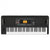 Korg EK-50 Entertainment Keyboard EK50