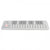 Korg nanoKEY 2 Slim Line USB Keyboard White Angle