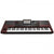 Korg PA1000 Arranger Keyboard 61 Key Front