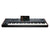 Korg PA5X-61 Professional Arranger Keyboard 61-Key