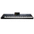 Korg PA5X-76 Professional Arranger Keyboard 76-Key