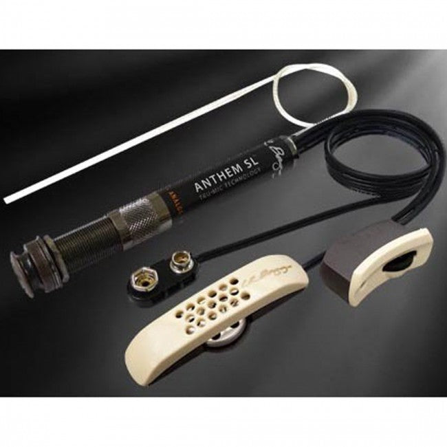 LR Baggs ANTHSL Acoustic Guitar Pickup &amp; Mic