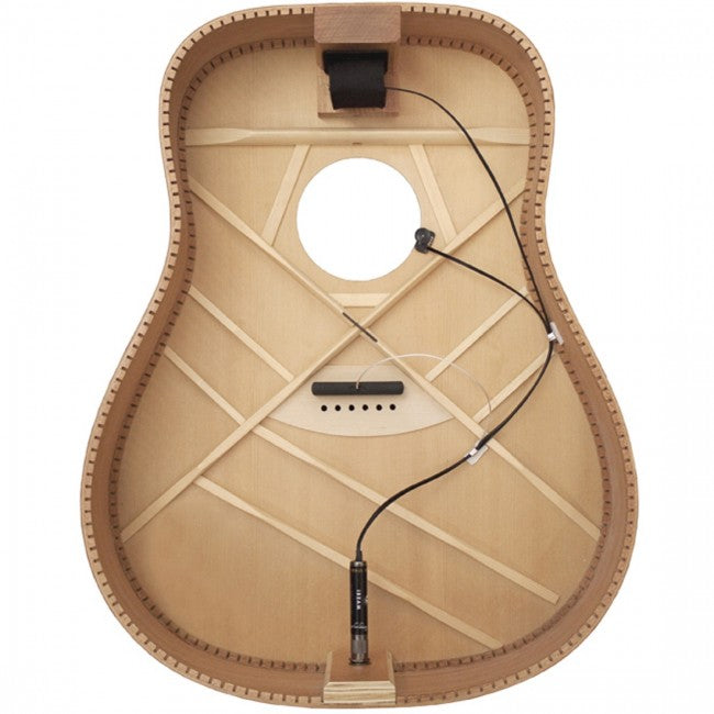 LR Baggs IBAS-IBeam Active System