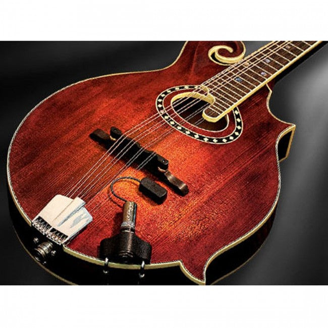 LR Baggs RADM Mandolin Pickup