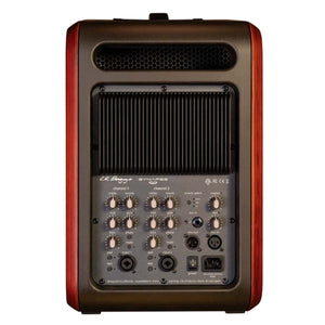 LR Baggs Synapse Personal PA System