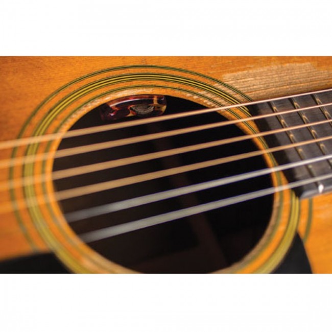 LR Baggs LYRIC-C Classical Mic Guitar System