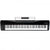 M-Audio Hammer 88 USB Keyboard