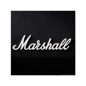 Marshall White Logo-Small