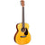 Martin 000-JR10E Shawn Mendes Signature Acoustic Guitar w/ Gig Bag