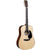Martin D-12E Road Series Dreadnought Acoustic Guitar w/ Pickup & Gig Bag