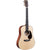 Martin DJR-10 Dreadnought Junior Acoustic Guitar w/ Gig Bag