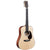 Martin DJR10E Dreadnought Junior Acoustic Guitar w/ Pickup & Gig Bag