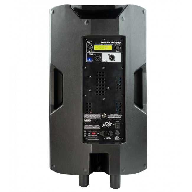 Peavey DM 118 Sub