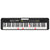 Casio LK-S250 Casiotone Digital Keyboard w/ 61 Lighting Keys
