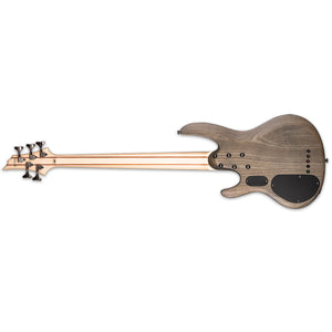 ESP LTD B-205SM Bass Guitar 5-String See Thru Black Satin Spalted Maple Top w/ Active EQ