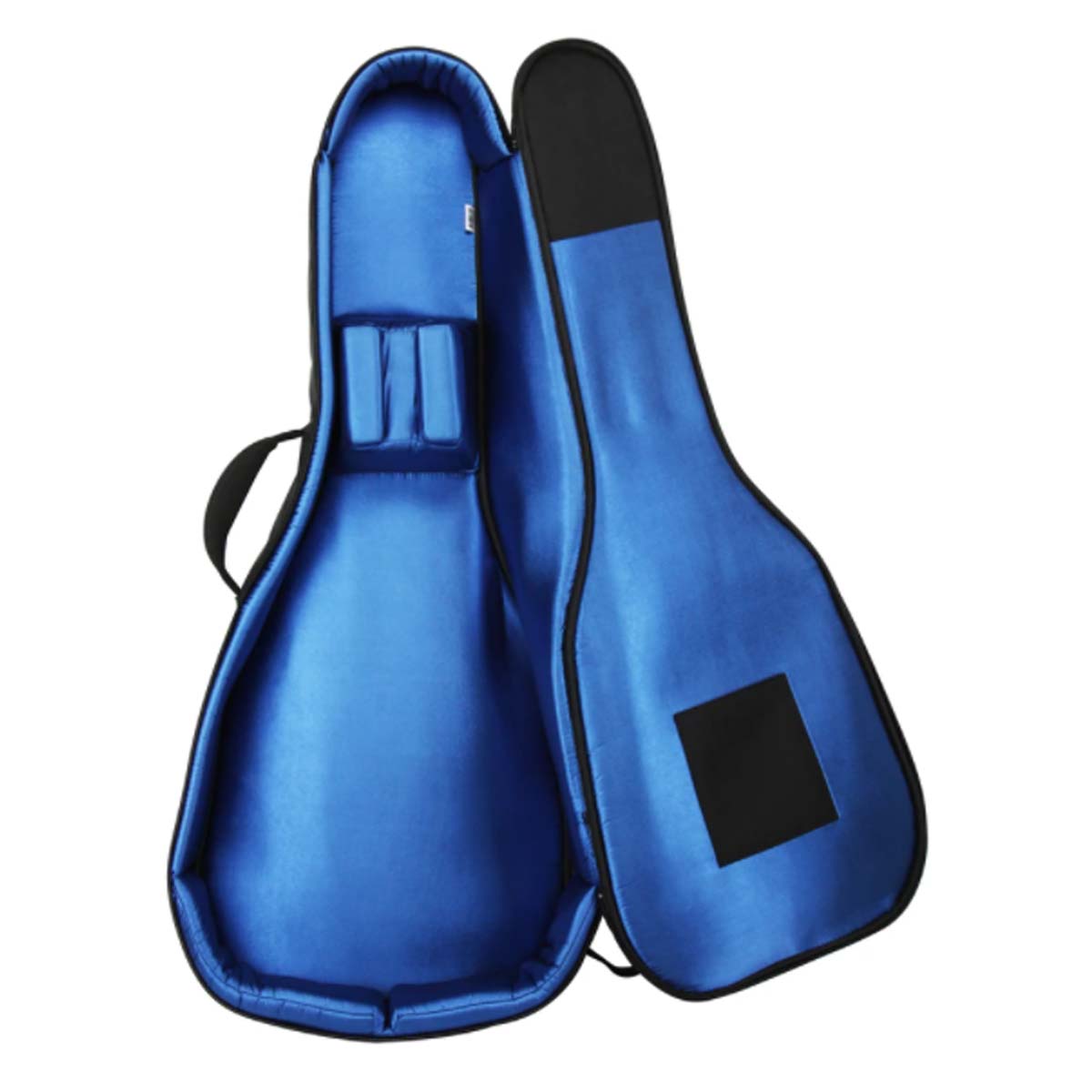 RBX by Reunion Blues Dreadnought Guitar Gig Bag - RBX-A2