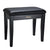 Roland RPB-100BK Piano Bench Black w/ Storage Compartment