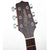 Takamine G11 Series Acoustic Guitar Dreadnought Mahogany Satin - TGD11MNS