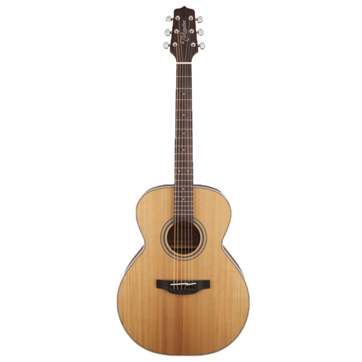 Takamine G20 Series Acoustic Guitar NEX Natural Satin - TGN20NS