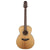Takamine G20 Series Acoustic Guitar NEX Natural Satin - TGN20NS