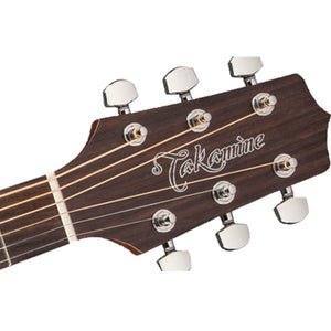 Takamine G20 Series Acoustic Guitar NEX Natural Satin - TGN20NS