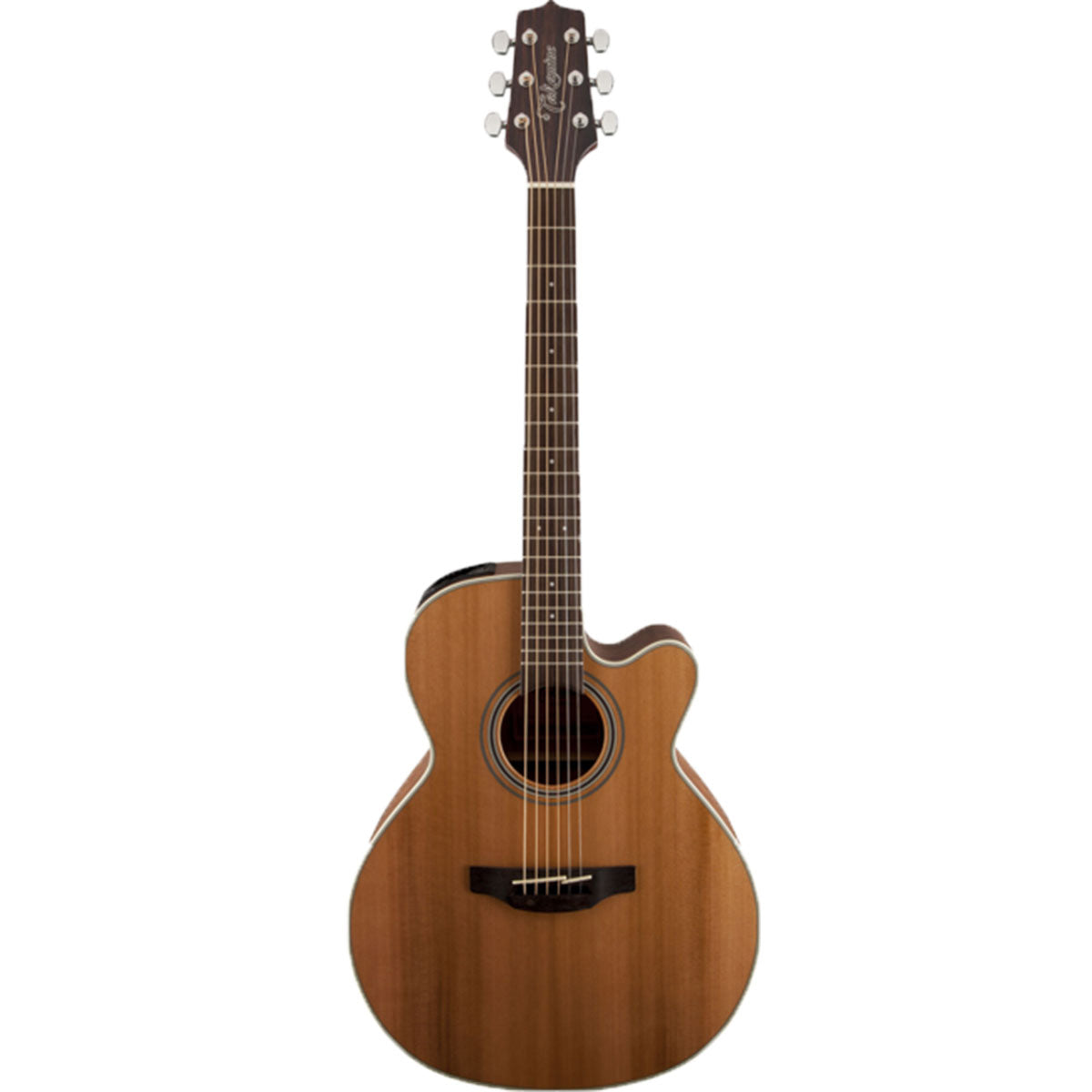 Takamine G20 Series Acoustic Guitar NEX Natural Satin w/ Pickup &amp; Cutaway - TGN20CENS