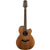 Takamine G20 Series Acoustic Guitar NEX Natural Satin w/ Pickup & Cutaway - TGN20CENS