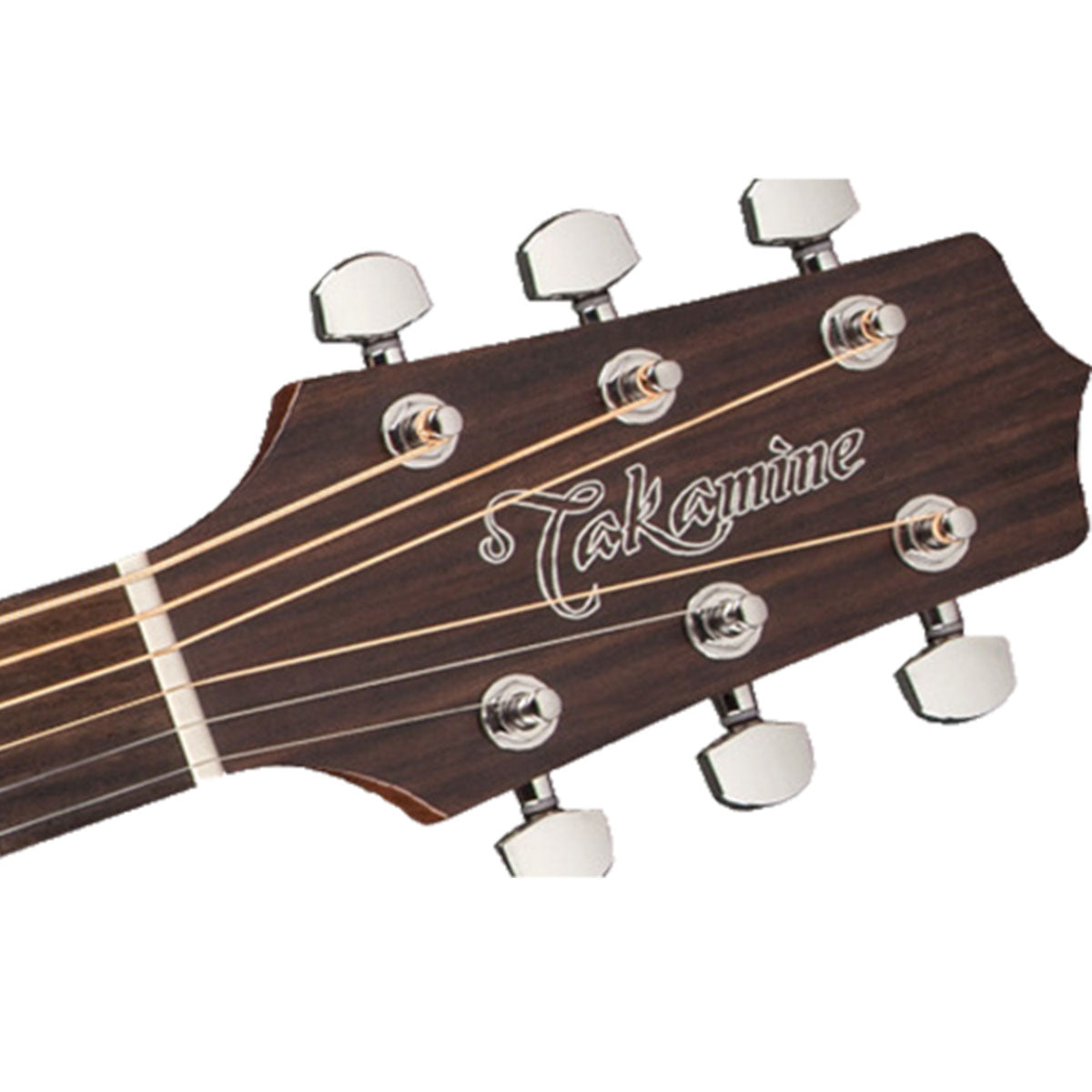 Takamine G20 Series Acoustic Guitar NEX Natural Satin w/ Pickup & Cutaway - TGN20CENS