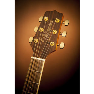 Takamine G50 Series Acoustic Guitar NEX Sunburst w/ Pickup & Cutaway - TGN51CEBSB