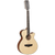 Tanglewood TW12CE Winterleaf Acoustic Guitar 12-String Superfolk Natural Satin w/ Pickup & Cutaway
